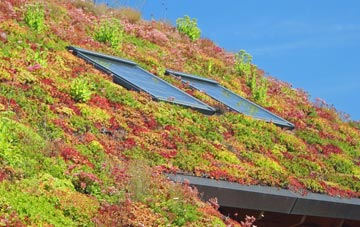 Medbourne living roof systems